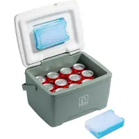 Brisby Koelbox - Frigobox - 8L - Groen - 40 uur isolatie - 2 koelelementen - Temperatuur Veilige Sluiting