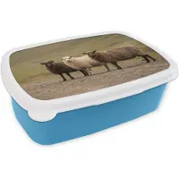 MuchoWow Broodtrommel Blauw - Lunchbox Schapen - Bruin - Wit - Grindpad - Brooddoos 18x12x6 cm - Brood lunch box - Broodtrommels voor kinderen en volwassenen