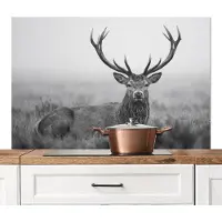 KitchenYeah Spatscherm keuken 120x80 cm - Kookplaat achterwand Hert - Mistig - Zwart - Wit - Muurbeschermer - Spatwand fornuis - Hoogwaardig aluminium