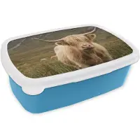 MuchoWow Broodtrommel Blauw - Lunchbox Schotse hooglander - Bergen - Grasveld - Brooddoos 18x12x6 cm - Brood lunch box - Broodtrommels voor kinderen en volwassenen