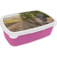 MuchoWow Broodtrommel Roze - Lunchbox Druiven - Wijngaard - Zonlicht - Brooddoos 18x12x6 cm - Brood lunch box - Broodtrommels voor kinderen en volwassenen