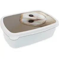 MuchoWow Broodtrommel Wit - Lunchbox Uil - Bruin - Wit - Brooddoos 18x12x6 cm - Brood lunch box - Broodtrommels voor kinderen en volwassenen