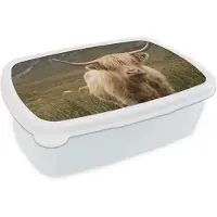 MuchoWow Broodtrommel Wit - Lunchbox Schotse hooglander - Bergen - Grasveld - Brooddoos 18x12x6 cm - Brood lunch box - Broodtrommels voor kinderen en volwassenen