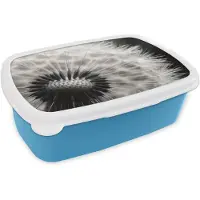 MuchoWow Broodtrommel Blauw - Lunchbox Paardenbloem - Zwart - Wit - Brooddoos 18x12x6 cm - Brood lunch box - Broodtrommels voor kinderen en volwassenen