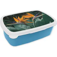MuchoWow Broodtrommel Blauw - Lunchbox Paradijsvogel - Bloem - Exotisch - Brooddoos 18x12x6 cm - Brood lunch box - Broodtrommels voor kinderen en volwassenen