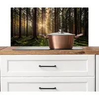 KitchenYeah Spatscherm keuken 80x40 cm - Kookplaat achterwand Bos - Gras - Zonlicht - Muurbeschermer - Spatwand fornuis - Hoogwaardig aluminium