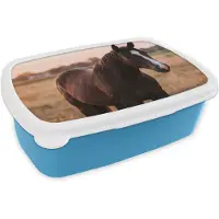 MuchoWow Broodtrommel Blauw - Lunchbox Paard - Zonsondergang - Bruin - Brooddoos 18x12x6 cm - Brood lunch box - Broodtrommels voor kinderen en volwassenen