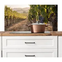 KitchenYeah Spatscherm keuken 100x50 cm - Kookplaat achterwand Druiven - Wijngaard - Zonlicht - Muurbeschermer - Spatwand fornuis - Hoogwaardig aluminium