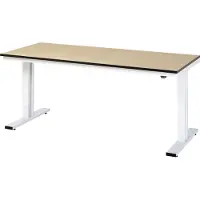 RAU Adlatus werkbank, elektrisch in hoogte verstelbaar, 22 mm MDF-plaat, tot 300 kg, B 2000 x D 800 x H 720-1120 mm, bruin/lichtgrijs