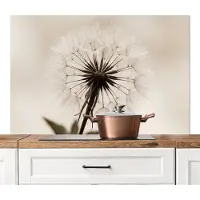 KitchenYeah Spatscherm keuken 120x80 cm - Kookplaat achterwand Paardenbloem - Minimalistisch - Wit - Muurbeschermer - Spatwand fornuis - Hoogwaardig aluminium