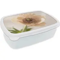 MuchoWow Broodtrommel Wit - Lunchbox Bloem - Minimalistisch - Groen - Brooddoos 18x12x6 cm - Brood lunch box - Broodtrommels voor kinderen en volwassenen