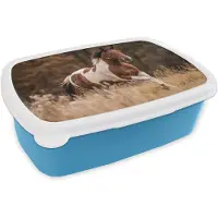 MuchoWow Broodtrommel Blauw - Lunchbox Paard - Bruin - Gras - Brooddoos 18x12x6 cm - Brood lunch box - Broodtrommels voor kinderen en volwassenen
