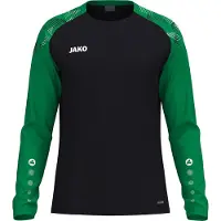 Jako Sonic Longsleeve Heren - Zwart / Groen | Maat: S