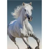 BrandMac fleece deken Wit Paard - 100 x 140 cm