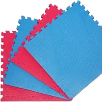 Eyepower Set van 4 vechtsportmatten, 2 cm dik, 63x63 cm, rood en blauw