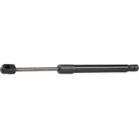RIDEX 219G0217 Gasveer achterklep