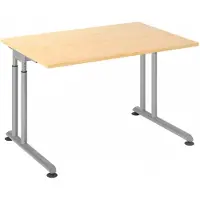 Hjh OFFICE PRO ZENO 12 S | 120x80 - 120x80 Esdoorn/Zilver Tafelhoogte I In hoogte verstelbaar