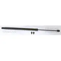 TRISCAN 8710 40245 Gasveer achterklep