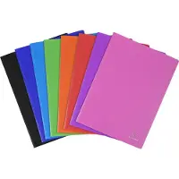 Exacompta 10x OPAK showalbum PP 5/10e - heldere tassen - 50 tassen - 100 zichten - A4 - Geassorteerd - 8850E