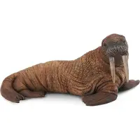 Collecta Figurine - Walrus - (L) - Zeedieren - Handgeschilderd - Miniatuur