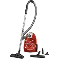 Rowenta RO3952 Compact Power Rood