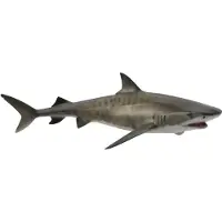 Collecta Figurine - Tijgerhaai - (L) - Zeedieren - Handgeschilderd - Miniatuur