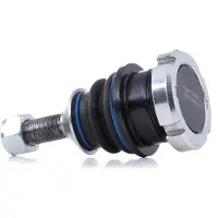RIDEX 2462S0310 Fuseekogel