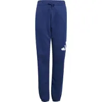 Adidas Sportbroek 'Essentials' | 140 | boy