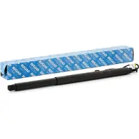 BUGIAD BRD50728 Gasveer achterklep