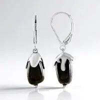Cavill - Zilveren Oorbellen met 10,24 Karaat Braziliaanse Groene Toermalijn - 925 Sterling Zilver - Luxe druppelvormige oorbellen dames modern elegant