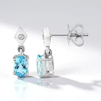 Cavill - 0 68 ct Mozambique Aquamarijn en 0 037 ct Tanzanische Zirkon Oorbellen - 925 Sterling Zilver Palladium - Elegant 13 mm