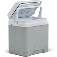 Ren Elektrische koelbox 12 en 230 volt - Elektrische koelbox - Koelbox - Grijs - ‎30cm x 40cm x 45cm