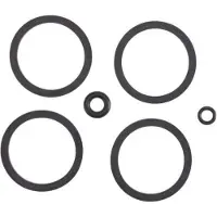 Formula Cura 4 O-ring