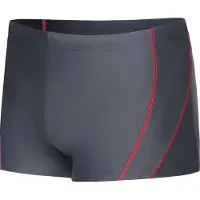 Ladeheid LA-LA40-171-SO Heren Zwembroek - Zwemshorts - sneldrogend - Koordsluiting - Polyester & Elastaan - Grafiet (171) - S