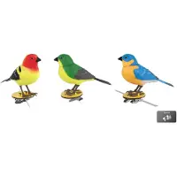 VAN MANEN speelgoed vogel Singing Bird rood groen blauw kunststof.