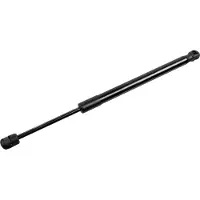 FEBI BILSTEIN 177189 Gasveer motorkap