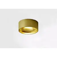 Artdelight Opbouwspot Oran 12x5 cm 2700K Geborsteld Goud