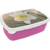 MuchoWow Broodtrommel Roze - Lunchbox Narcis - Bloem - Minimalistisch - Brooddoos 18x12x6 cm - Brood lunch box - Broodtrommels voor kinderen en volwassenen