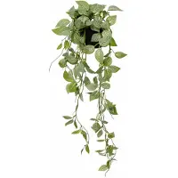 HEM Kunst Hangplant Fittonia Groen 70 cm – Onderhoudsvrije Kunstplant – Hangplant Binnen – Realistische Kamerplant in Pot