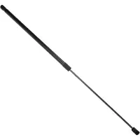 Einparts EP12087GS Gasveer motorkap