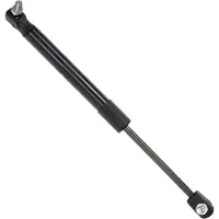 Einparts EP12086GS Gasveer motorkap