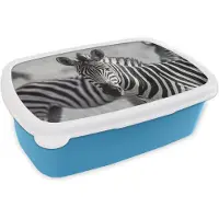 MuchoWow Broodtrommel Blauw - Lunchbox Zebra's - Zwart - Wit - Brooddoos 18x12x6 cm - Brood lunch box - Broodtrommels voor kinderen en volwassenen