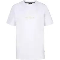 Petrol Industries Shirt 'Bayleaf' groen / wit