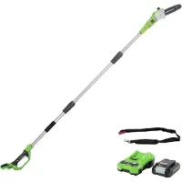 Greenworks Takkenzaag 24 Volt Met 2.0 Ah Accu En Lader