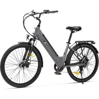 Touroll J2 ST Elektrische Fiets 250W 45Nm Accu 561.6Wh 100km 7 Versnellingen Shimano Bagagedrager Lage Instap Grijs