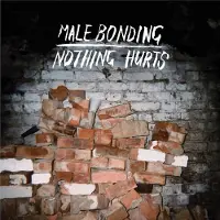 Konkurrent Male Bonding - Nothing Hurts (LP)