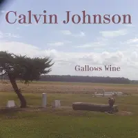 Konkurrent Calvin Johnson - Gallows Wine (LP)