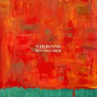 Konkurrent Why Bonnie - 90 In November (CD)