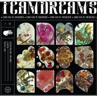 Konkurrent Sin Fang, Sóley, Örvar póreyjarson Smárason - Dream Is Murder (2 LP)