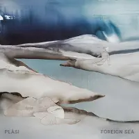 Nettwerk Music Group Foreign Sea